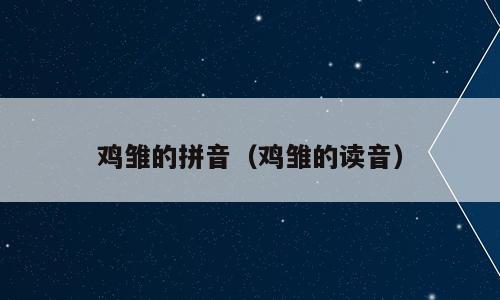 鸡雏的拼音（鸡雏的读音）