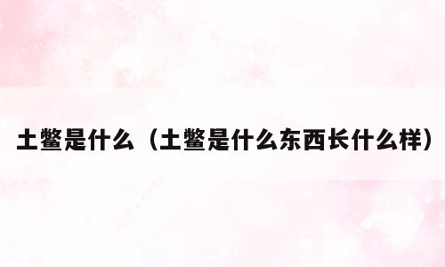 土鳖是什么（土鳖是什么东西长什么样）