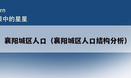 襄阳城区人口（襄阳城区人口结构分析）