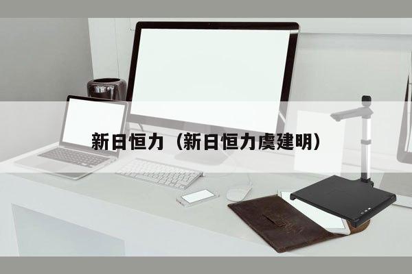 新日恒力（新日恒力虞建明）