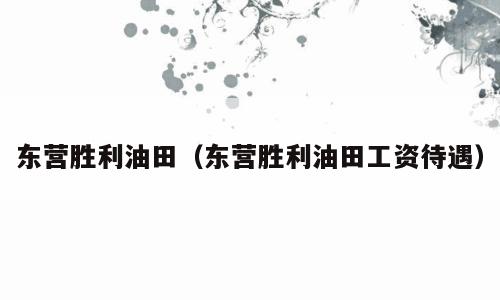 东营胜利油田（东营胜利油田工资待遇）
