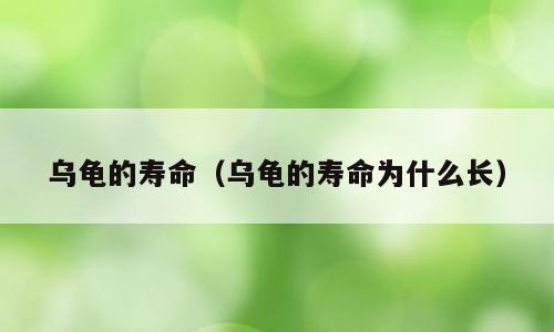 乌龟的寿命（乌龟的寿命为什么长）