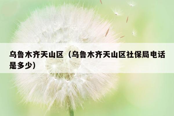 乌鲁木齐天山区（乌鲁木齐天山区社保局电话是多少）