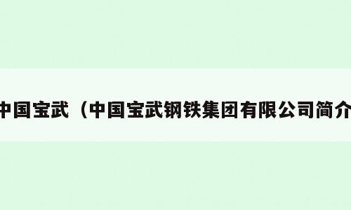 中国宝武（中国宝武钢铁集团有限公司简介）