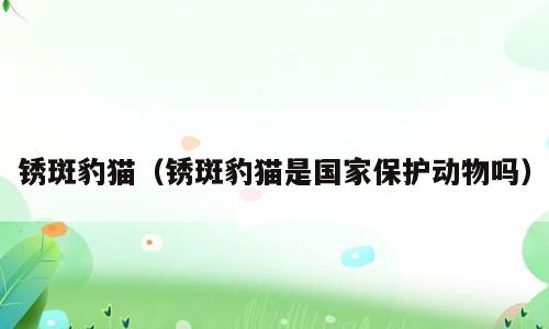 锈斑豹猫（锈斑豹猫是国家保护动物吗）