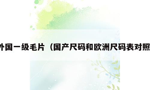 外国一级毛片（国产尺码和欧洲尺码表对照）