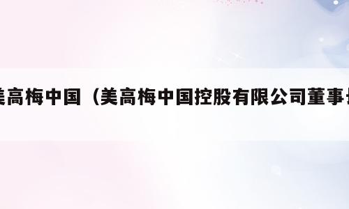 美高梅中国（美高梅中国控股有限公司董事长）