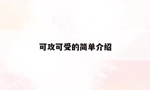 可攻可受的简单介绍