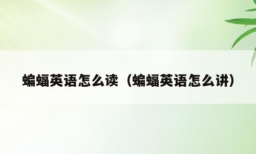 蝙蝠英语怎么读（蝙蝠英语怎么讲）