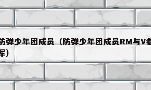 防弹少年团成员（防弹少年团成员RM与V参军）