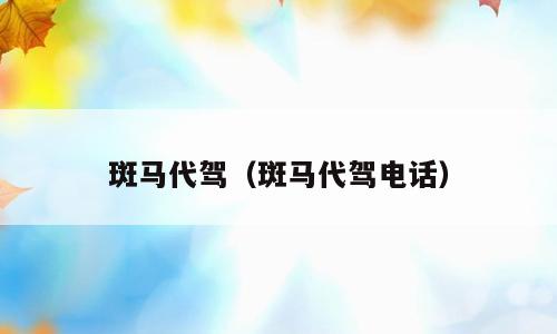 斑马代驾（斑马代驾电话）
