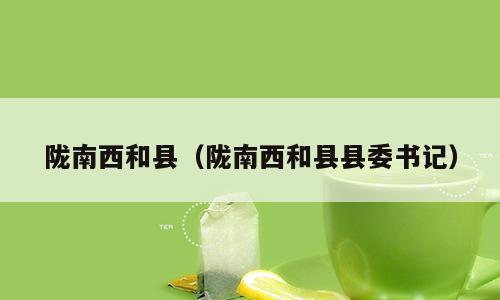 陇南西和县（陇南西和县县委书记）