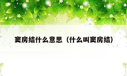 窦房结什么意思（什么叫窦房结）