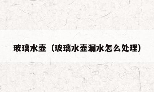玻璃水壶（玻璃水壶漏水怎么处理）