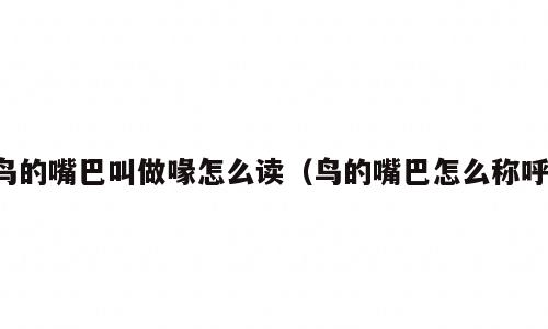 鸟的嘴巴叫做喙怎么读（鸟的嘴巴怎么称呼）