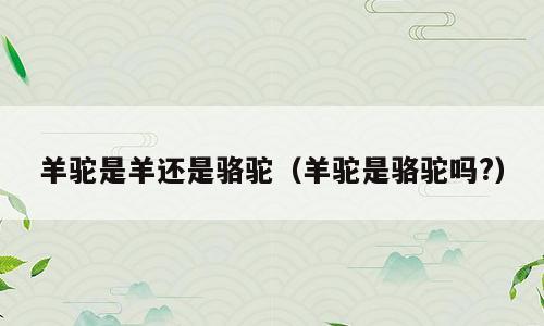 羊驼是羊还是骆驼（羊驼是骆驼吗?）