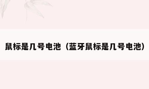 鼠标是几号电池（蓝牙鼠标是几号电池）