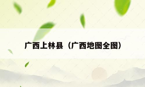 广西上林县（广西地图全图）