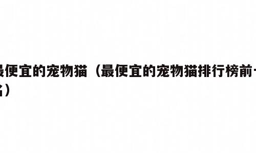 最便宜的宠物猫（最便宜的宠物猫排行榜前十名）