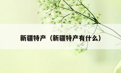 新疆特产（新疆特产有什么）