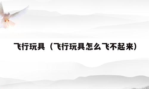 飞行玩具（飞行玩具怎么飞不起来）
