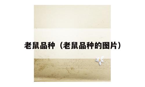 老鼠品种（老鼠品种的图片）