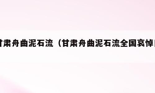 甘肃舟曲泥石流（甘肃舟曲泥石流全国哀悼日）