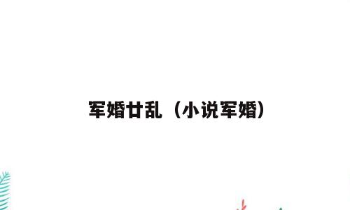 军婚廿乱（小说军婚）