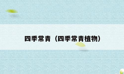 四季常青（四季常青植物）