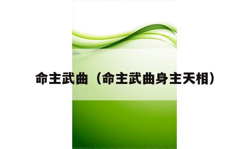 命主武曲（命主武曲身主天相）