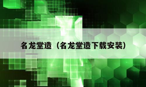 名龙堂造（名龙堂造下载安装）