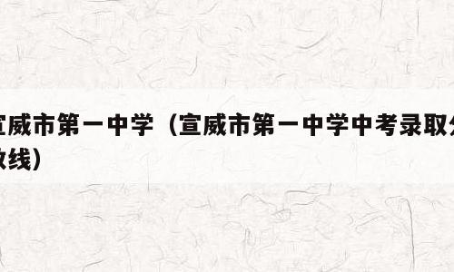 宣威市第一中学（宣威市第一中学中考录取分数线）