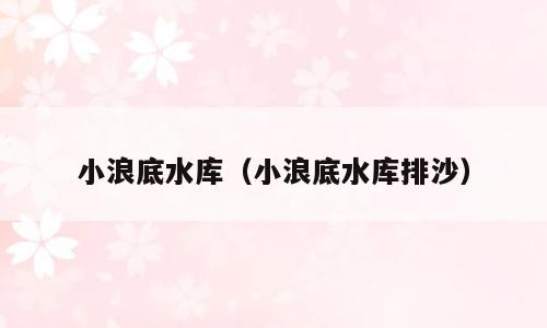 小浪底水库（小浪底水库排沙）