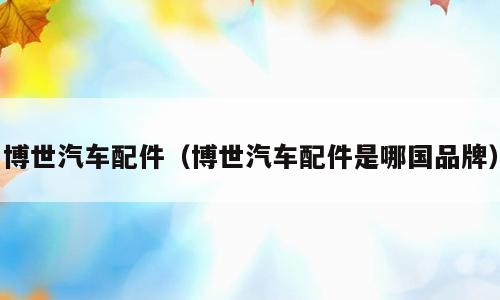 博世汽车配件（博世汽车配件是哪国品牌）
