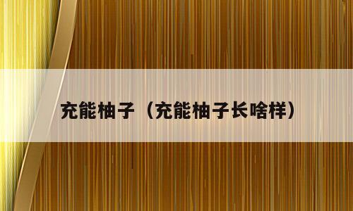 充能柚子（充能柚子长啥样）