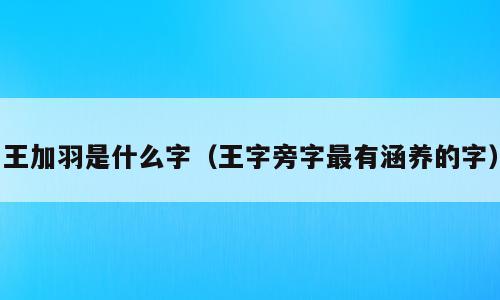 王加羽是什么字（王字旁字最有涵养的字）
