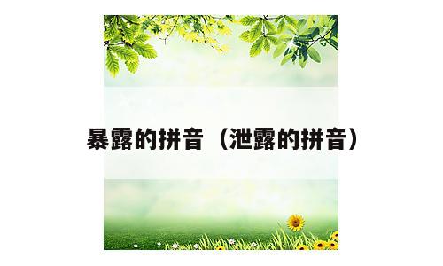 暴露的拼音（泄露的拼音）