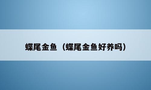 蝶尾金鱼（蝶尾金鱼好养吗）