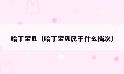 哈丁宝贝（哈丁宝贝属于什么档次）