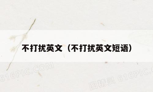 不打扰英文（不打扰英文短语）