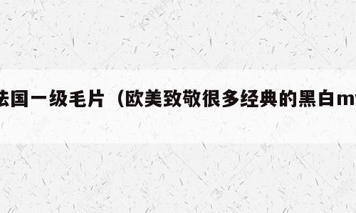 法国一级毛片（欧美致敬很多经典的黑白mv）