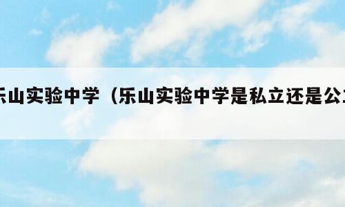 乐山实验中学（乐山实验中学是私立还是公立）