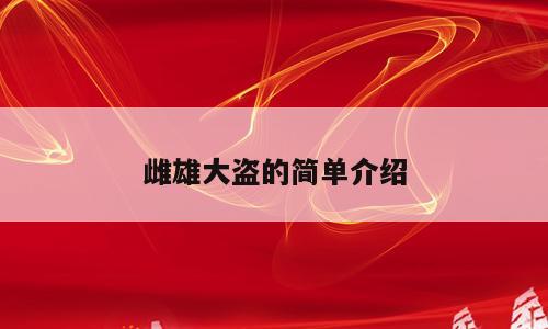 雌雄大盗的简单介绍
