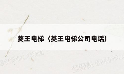 菱王电梯（菱王电梯公司电话）