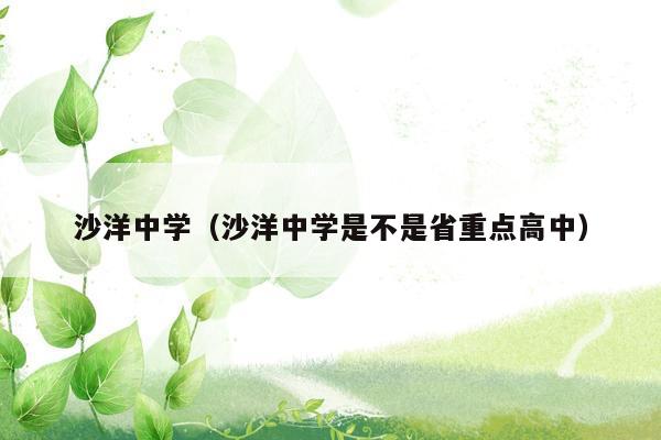 沙洋中学（沙洋中学是不是省重点高中）