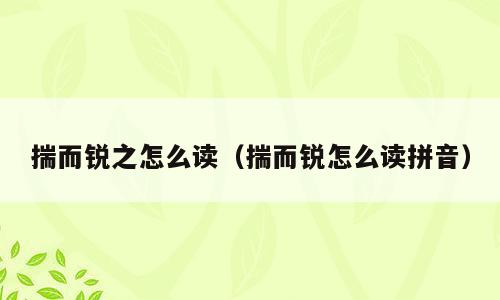 揣而锐之怎么读（揣而锐怎么读拼音）