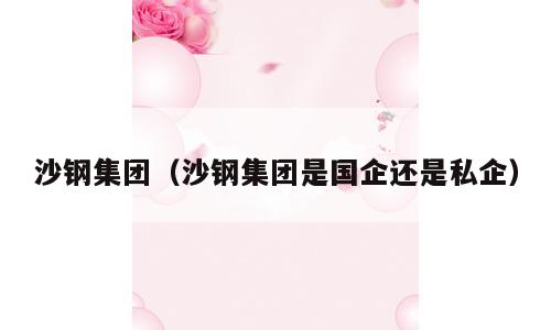 沙钢集团（沙钢集团是国企还是私企）