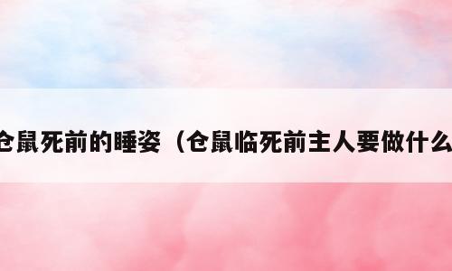仓鼠死前的睡姿（仓鼠临死前主人要做什么）