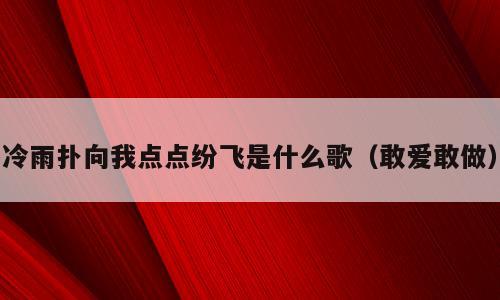 冷雨扑向我点点纷飞是什么歌（敢爱敢做）
