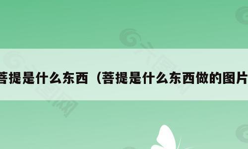 菩提是什么东西（菩提是什么东西做的图片）